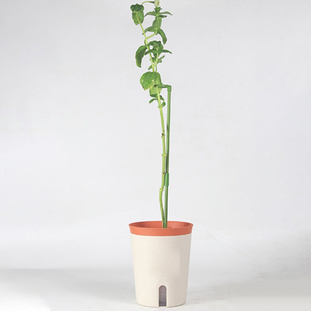 12Pcs 60cm Plant Support Stakes for Flowers Single Stem Plant Support