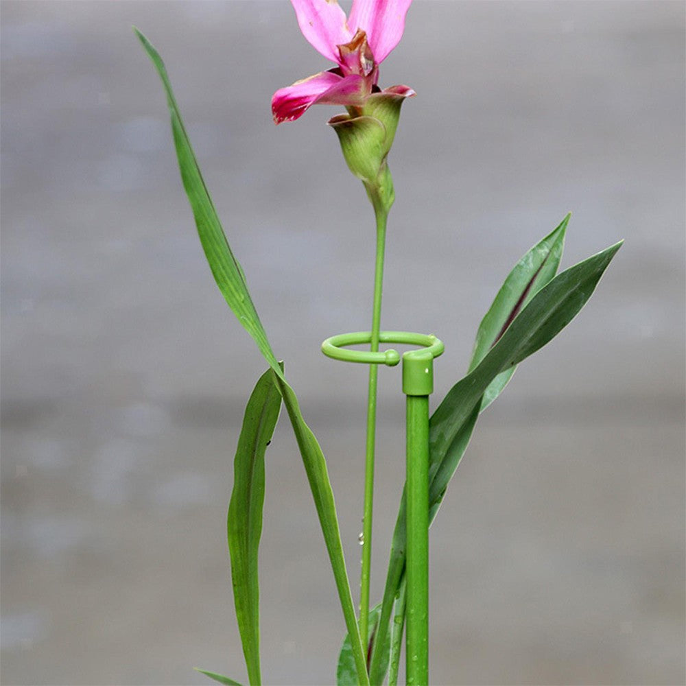 12Pcs 40cm Plant Support Stakes for Flowers Single Stem Plant Support