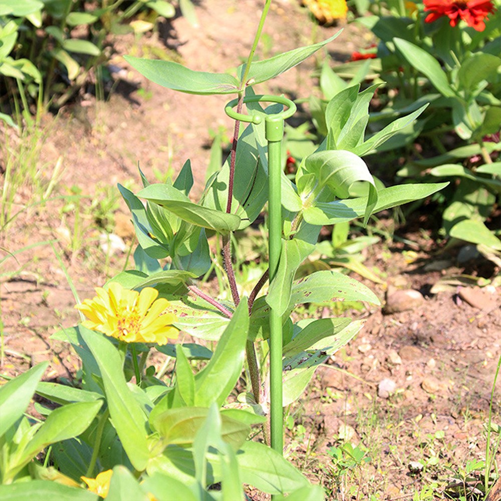 6Pcs 30cm Plant Support Stakes for Flowers Single Stem Plant Support