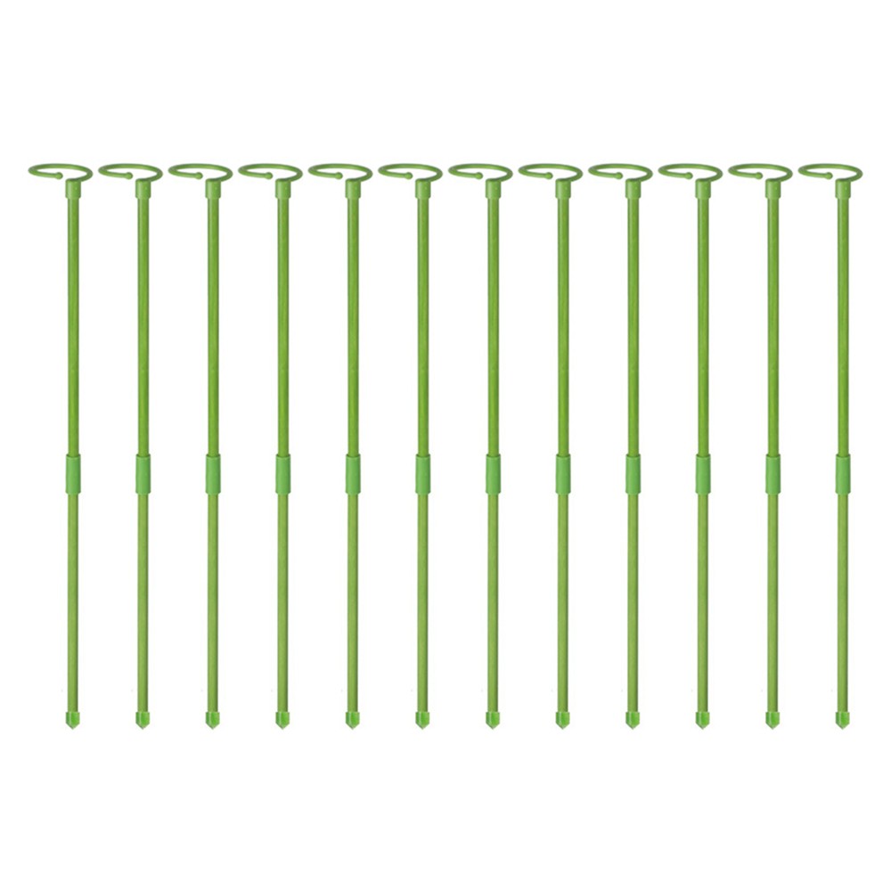 12Pcs 60cm Plant Support Stakes for Flowers Single Stem Plant Support
