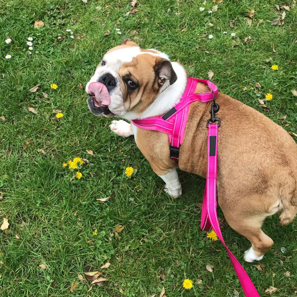 No Pull Pet Dog Harness and Leash Set Plush Padded Pet Vest with Reflective Strip Rose Red S