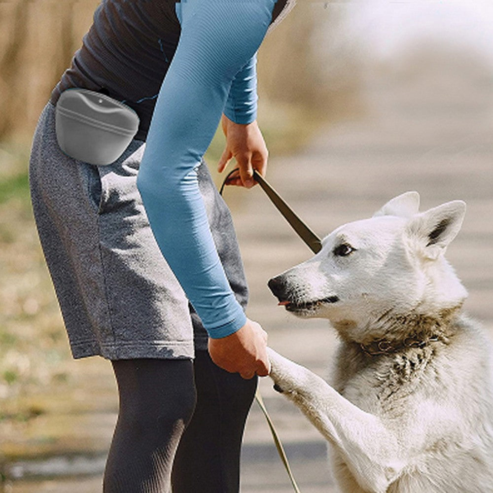 Silicone Dog Treat Bag with Magnetic Closure Portable Waist Pouch Pack with Clip Grey