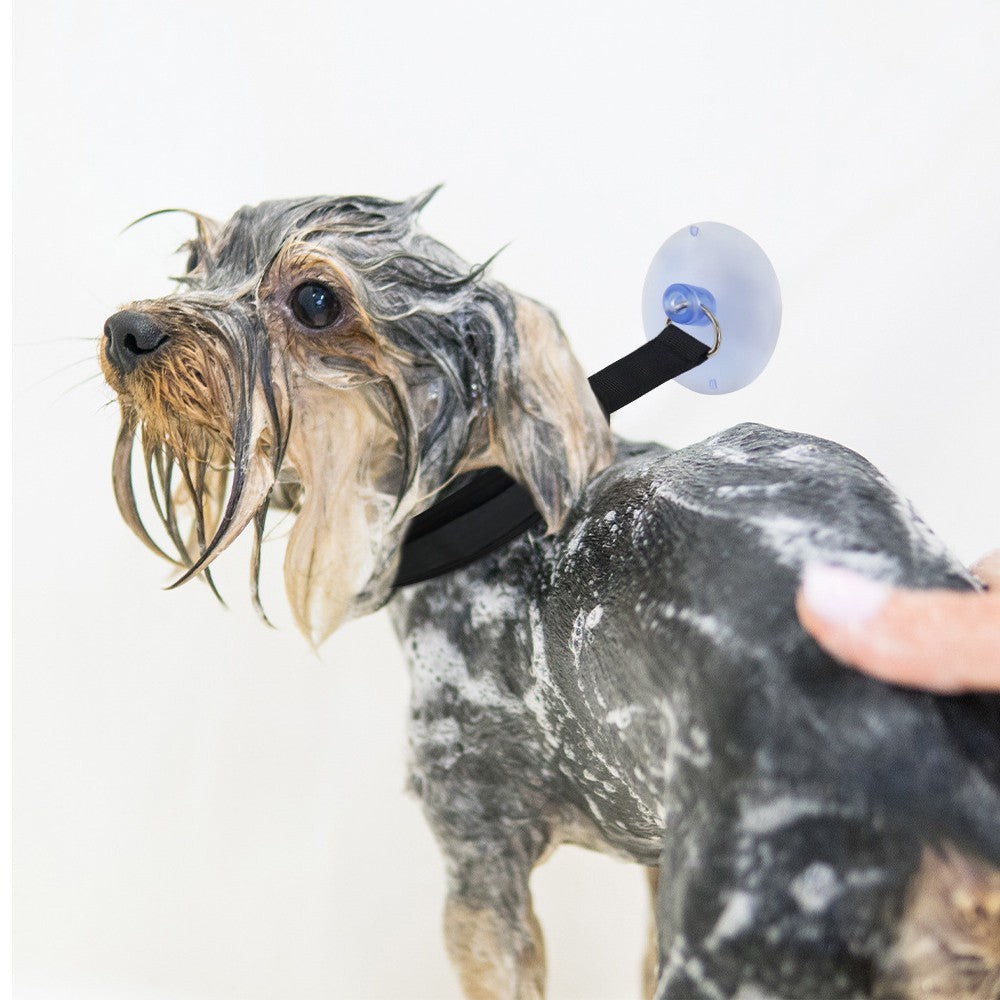 2 X Dog Bathing Tether with Suction Cup Adjustable Pet Bathing Leash for Pet Shower and Grooming