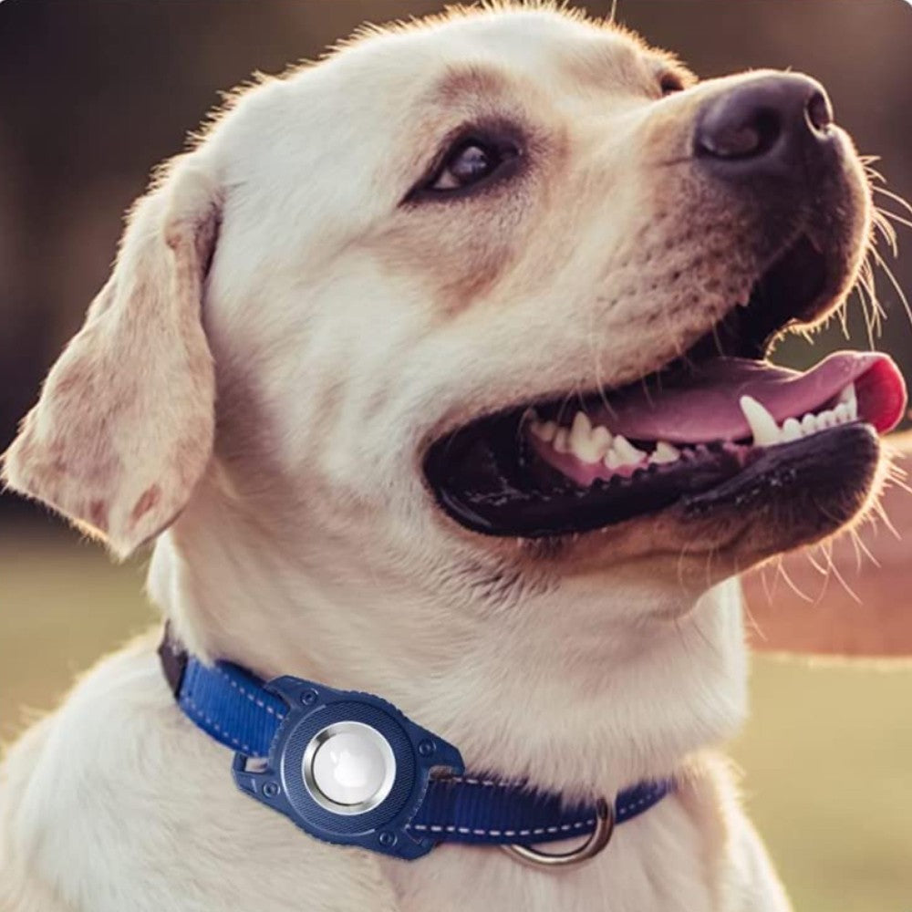 For Apple AirTag Dog Collar Holder Full Cover Tracker Protective Case with Key Ring Royal Blue