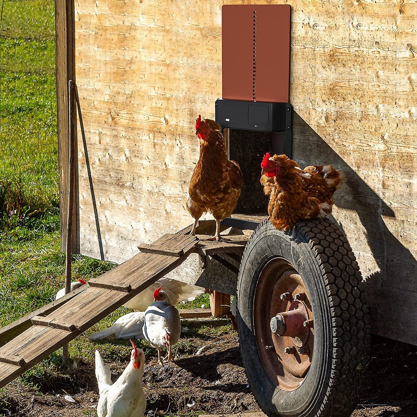 Automatic Chicken Coop Door Opener Battery Powered Light Sensor Poultry House Door Brown