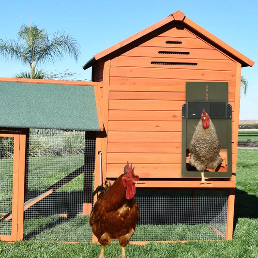 Automatic Chicken Coop Door Opener Battery Powered Light Sensor Poultry House Door Green