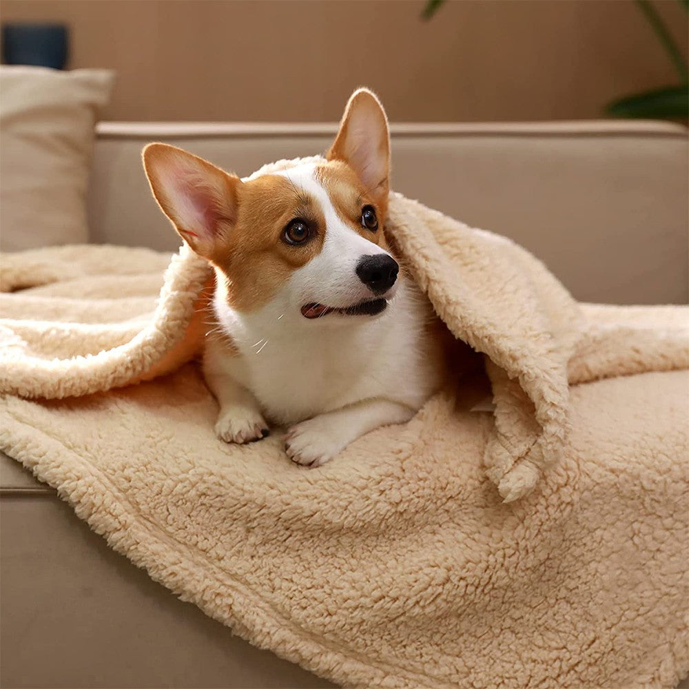 Winter Pet Blanket Dog Warm Blanket Cat Fluffy Plush Blanket Throw 100x80cm Beige