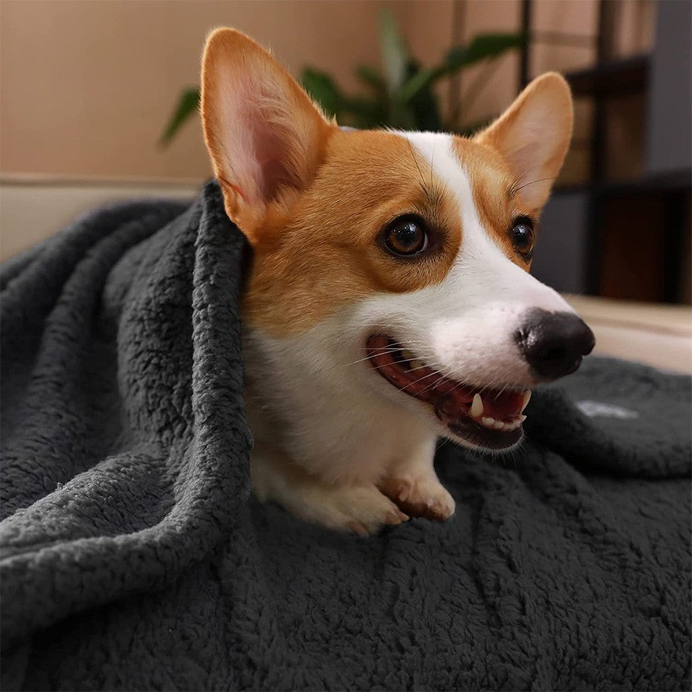 Winter Pet Blanket Dog Warm Blanket Cat Fluffy Plush Blanket Throw 80x60cm Black