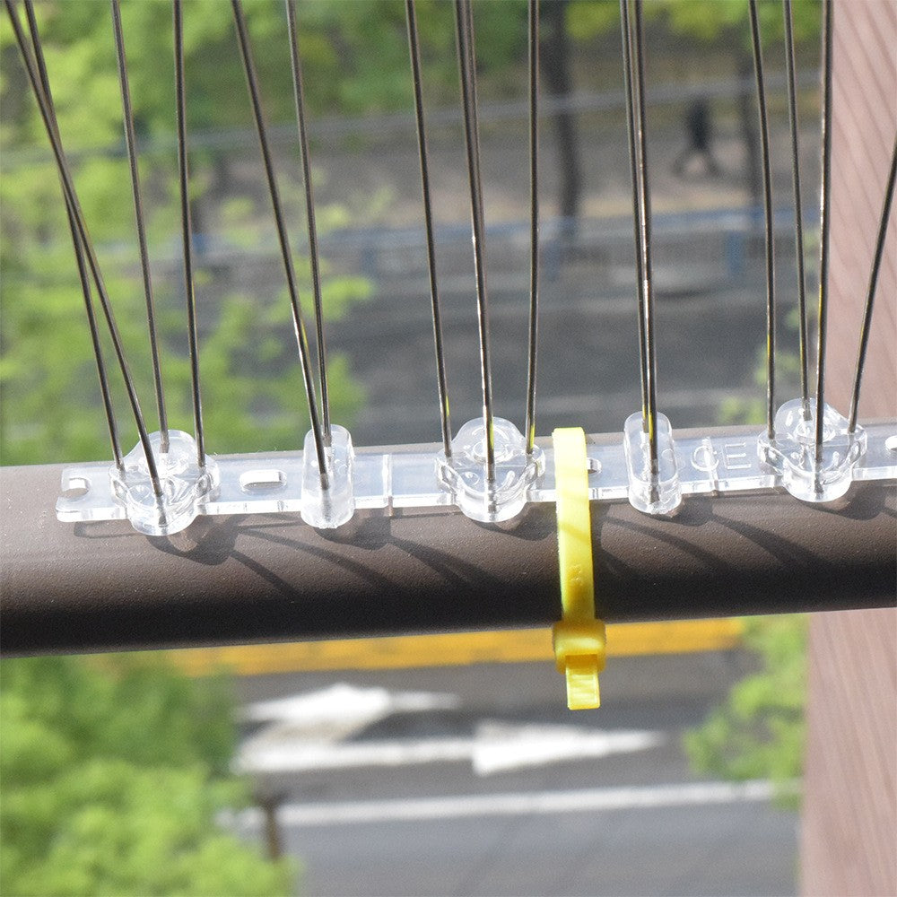 12Pcs Stainless Steel Bird Repellent Spike Repeller for Verandas Roof Windowsill