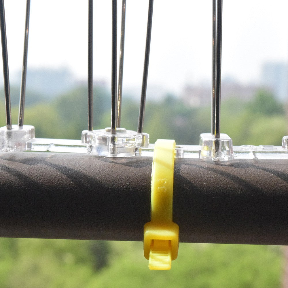 12Pcs Stainless Steel Bird Repellent Spike Repeller for Verandas Roof Windowsill