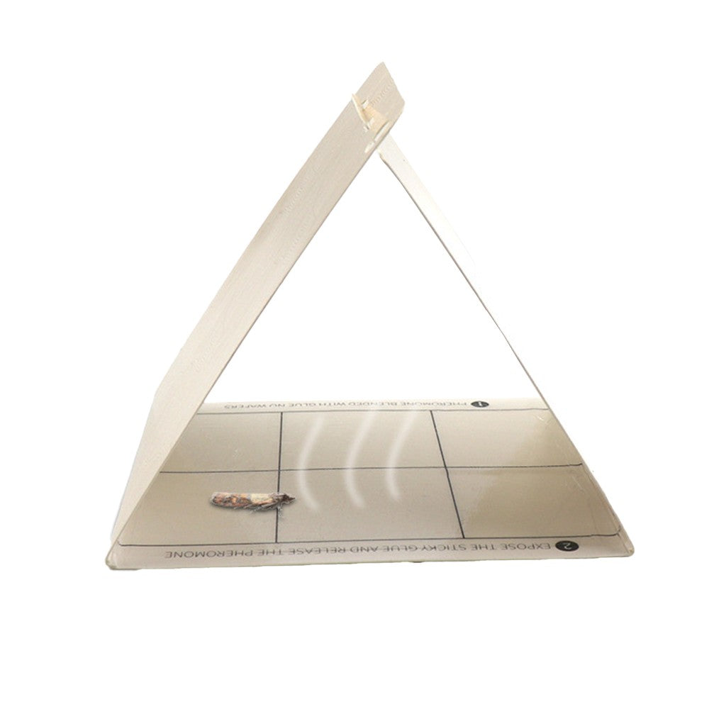 12Pcs Pantry Moth Traps with Female Pheromones Sticky Glue Moth Trap Pest Trap