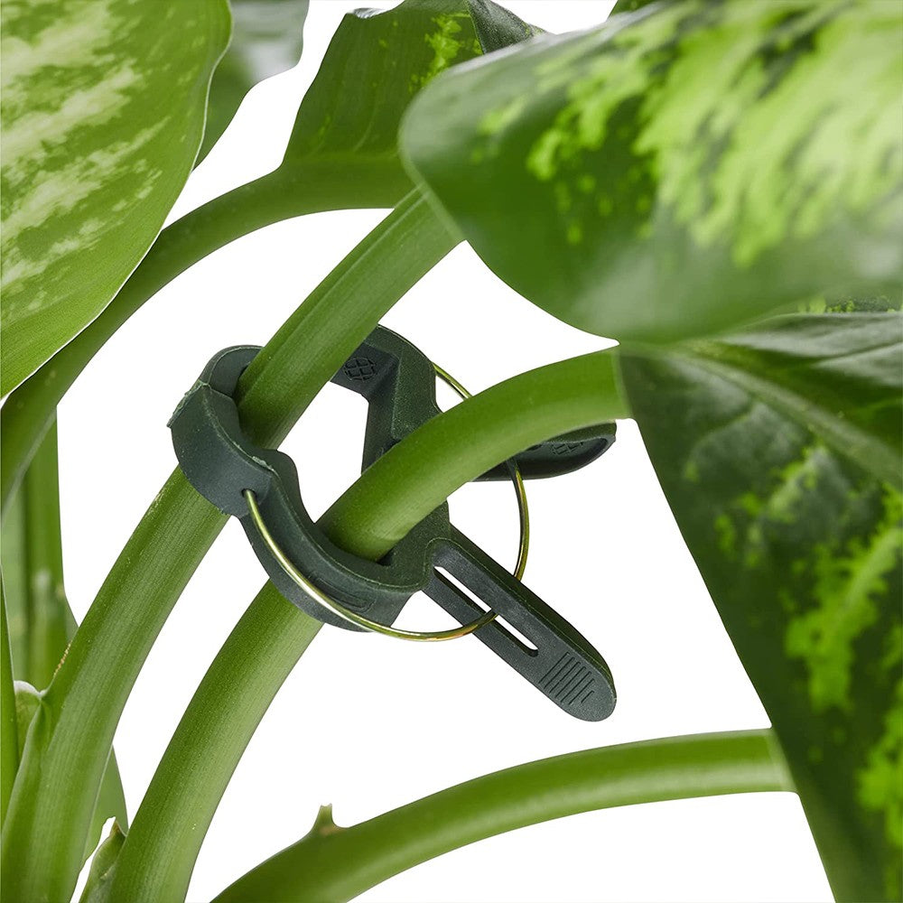 1 X 31Pcs Plant Growing Supports Set Plant Binding Wire Reel Plant Clip Set for Gardening