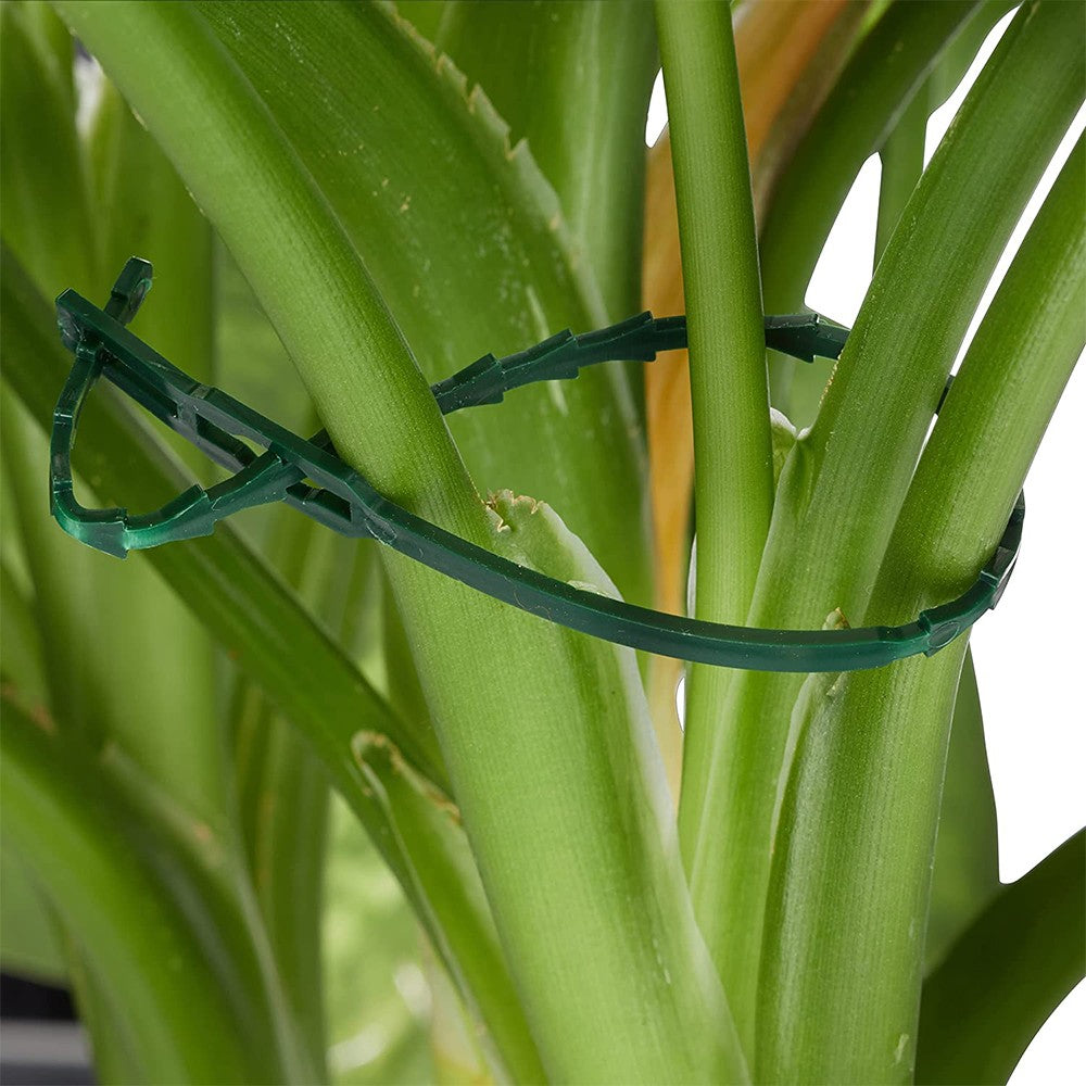 1 X 31Pcs Plant Growing Supports Set Plant Binding Wire Reel Plant Clip Set for Gardening