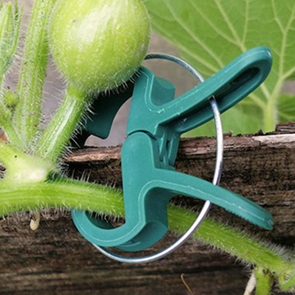 1 X 31Pcs Plant Growing Supports Set Plant Binding Wire Reel Plant Clip Set for Gardening