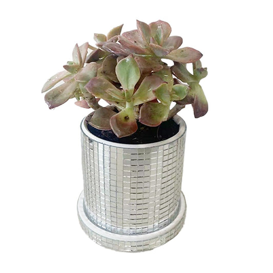 1 X Disco Ball Planter Pot with Base Mirror Ceramic Vase Modern Home Decor