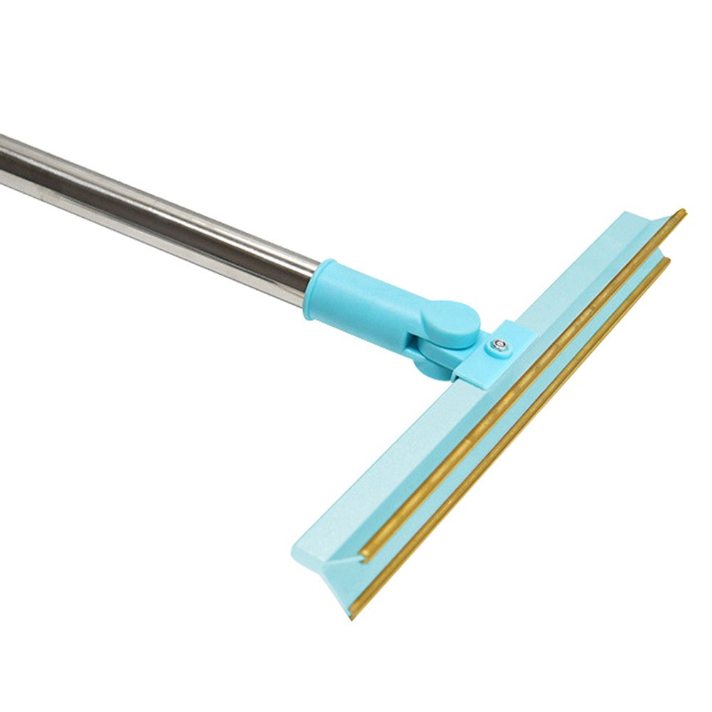 Retractable Long Handle Carpet Rake Pet Hair Removal Scraper Blue