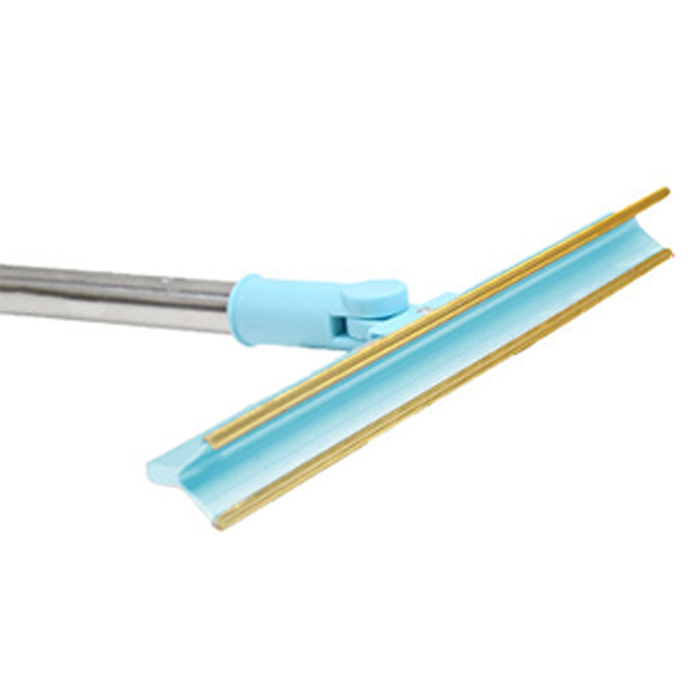 Retractable Long Handle Carpet Rake Pet Hair Removal Scraper Blue