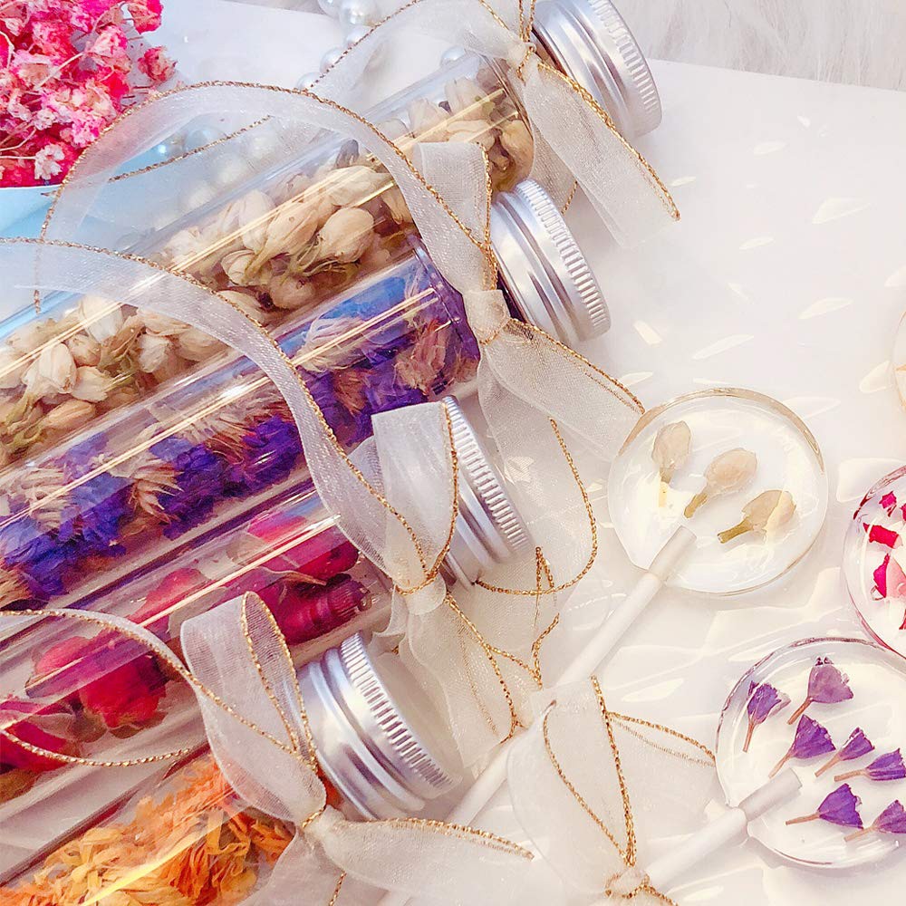 10Pcs 110ml Clear Glass Test Tubes with Caps for Powder Liquid Storage DIY Home Decoration