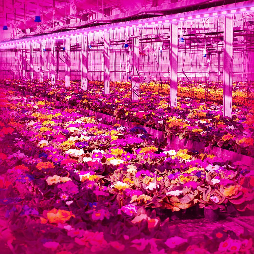 2 Meters Full Spectrum LED Plant Grow Light Strip USB Indoor Plant Grow Lamp