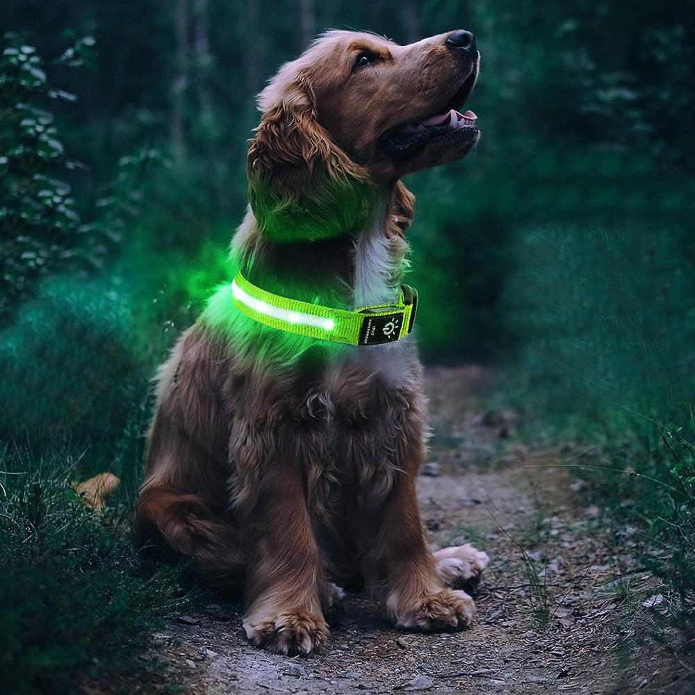 LED Pet Collar Light-up Rechargeable Dog Collar with Protective Case for AirTag Green S