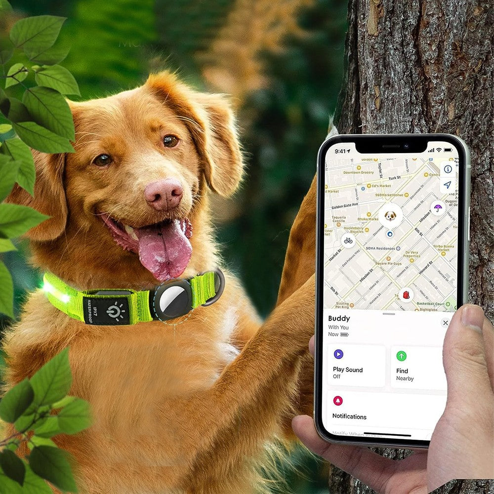 LED Pet Collar Light-up Rechargeable Dog Collar with Protective Case for AirTag Green M