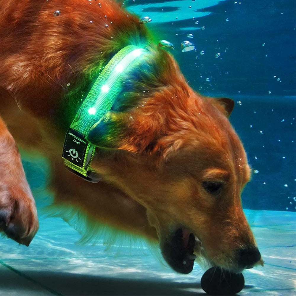 LED Pet Collar Light-up Rechargeable Dog Collar with Protective Case for AirTag Green L