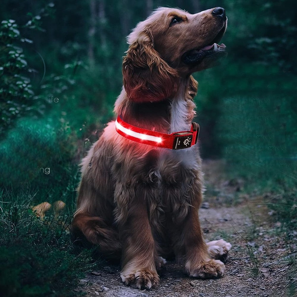 LED Pet Collar Light-up Rechargeable Dog Collar with Protective Case for AirTag Red L