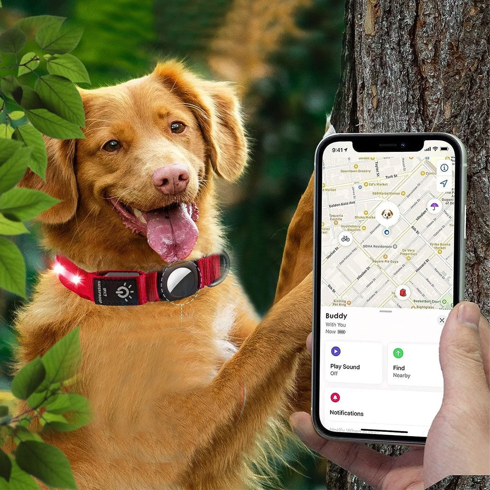 LED Pet Collar Light-up Rechargeable Dog Collar with Protective Case for AirTag Red M
