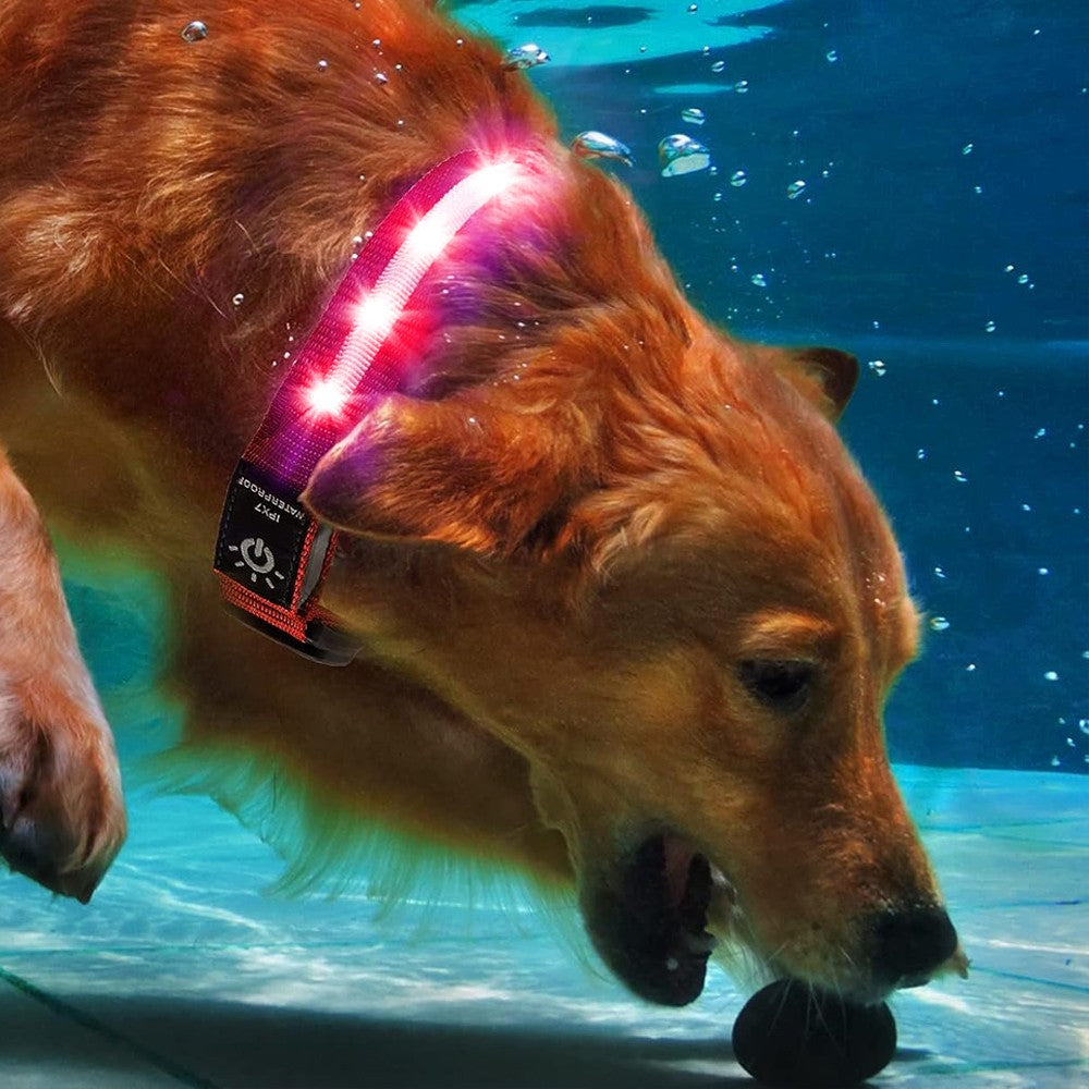 LED Pet Collar Light-up Rechargeable Dog Collar with Protective Case for AirTag Red S