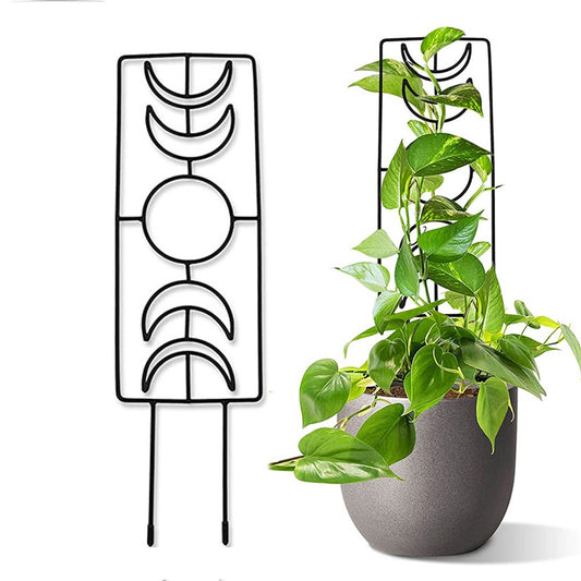 1Pc Moon Phase Trellis for Climbing Plants Garden Plant Support Rack for Potted Plant
