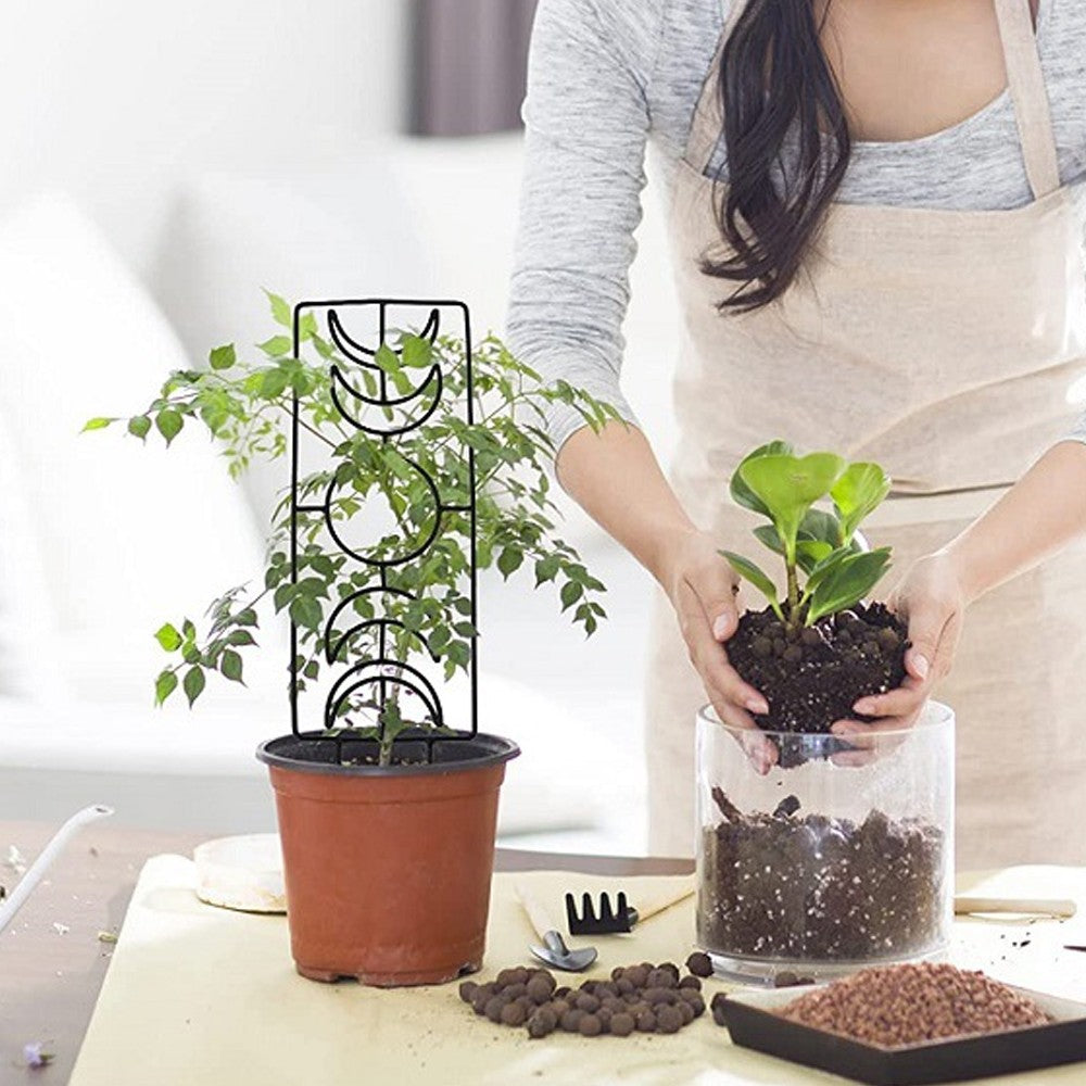 1Pc Moon Phase Trellis for Climbing Plants Garden Plant Support Rack for Potted Plant