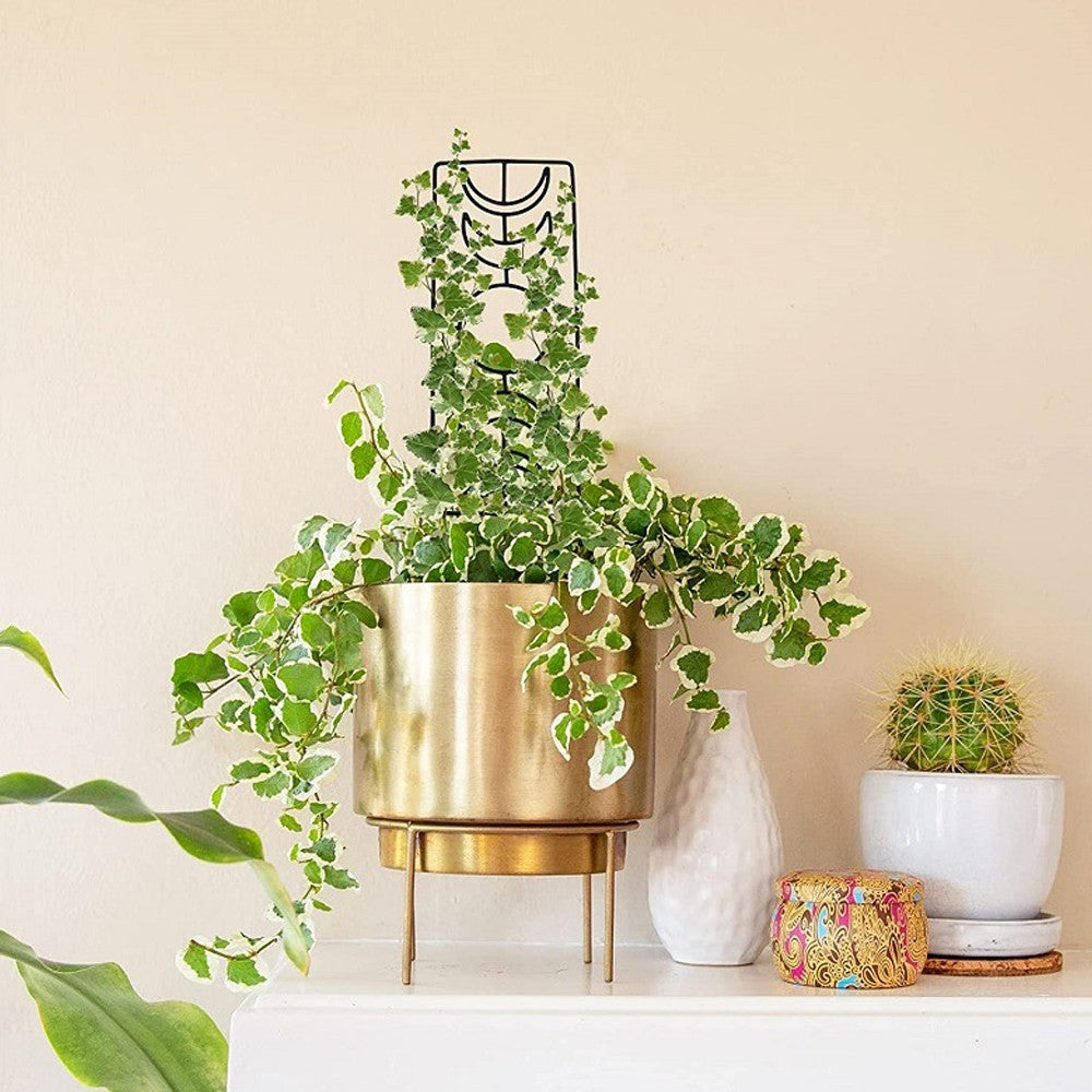 3Pcs Moon Phase Trellis for Climbing Plants Garden Plant Support Rack for Potted Plant