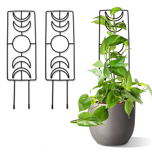 2Pcs Moon Phase Trellis for Climbing Plants Garden Plant Support Rack for Potted Plant
