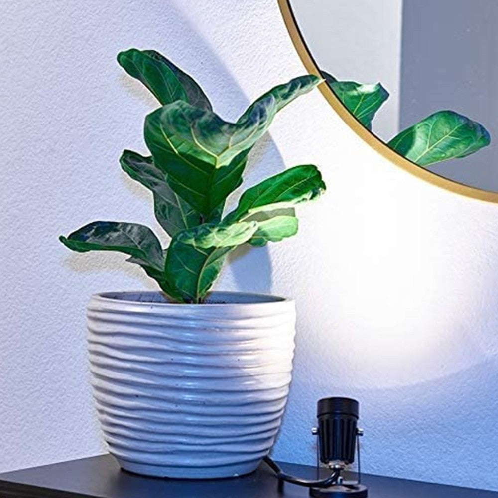 2xLED Plant Spot Lights Indoor Plant Lamp 3 Color Lighting Modes for Plants