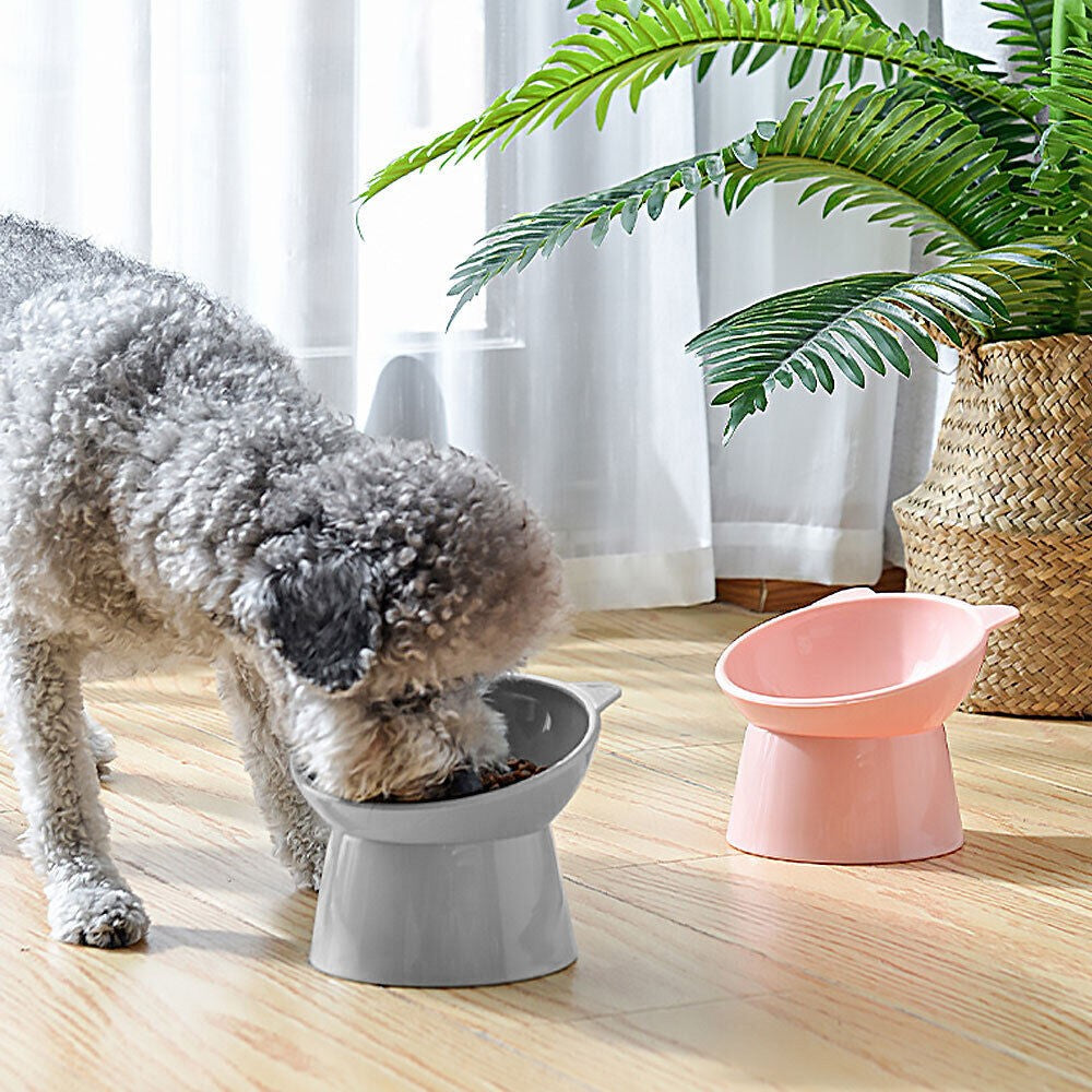 2Pcs Elevated Cat Dog Pet Bowl Feeder - Grey + Pink