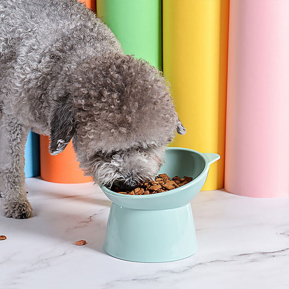 2Pcs Elevated Cat Dog Pet Bowl Feeder - Green + Pink
