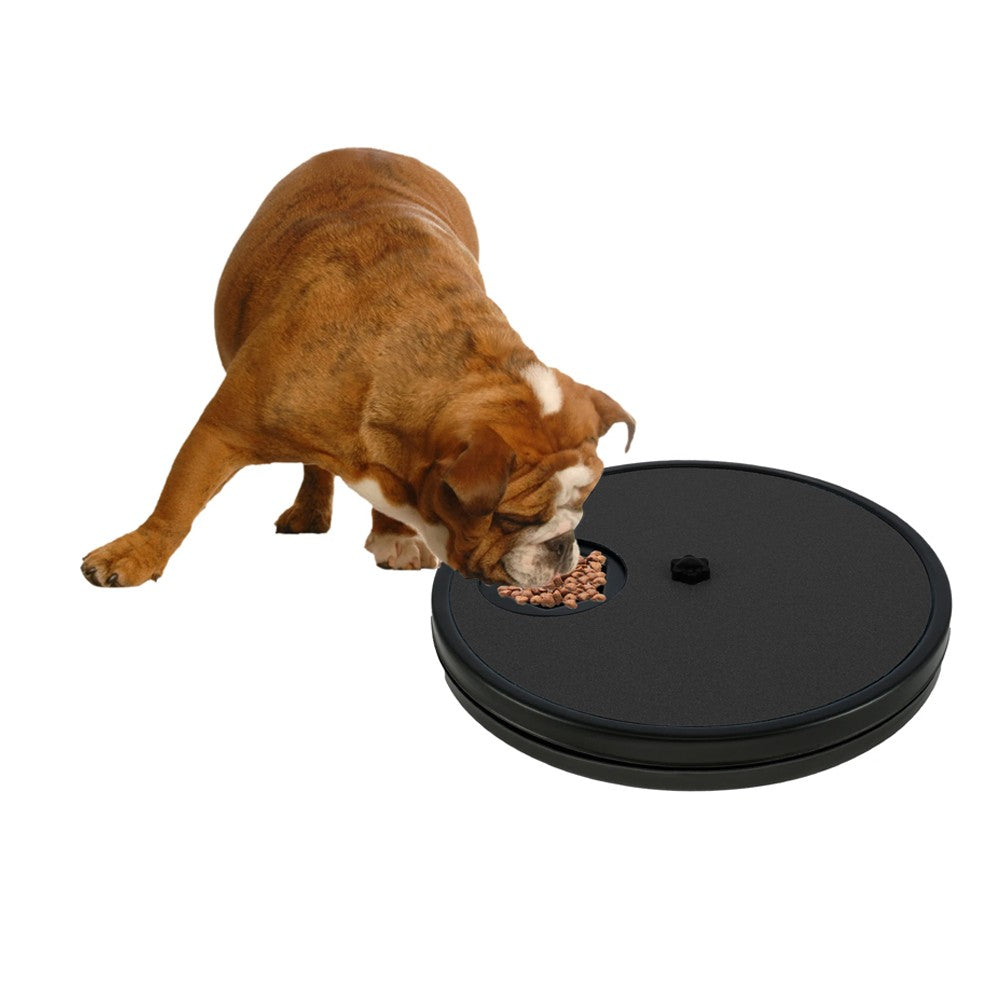 Dog Nail Scratch Board Dog Nail Grinder with Hidden Treat Compartments - Black