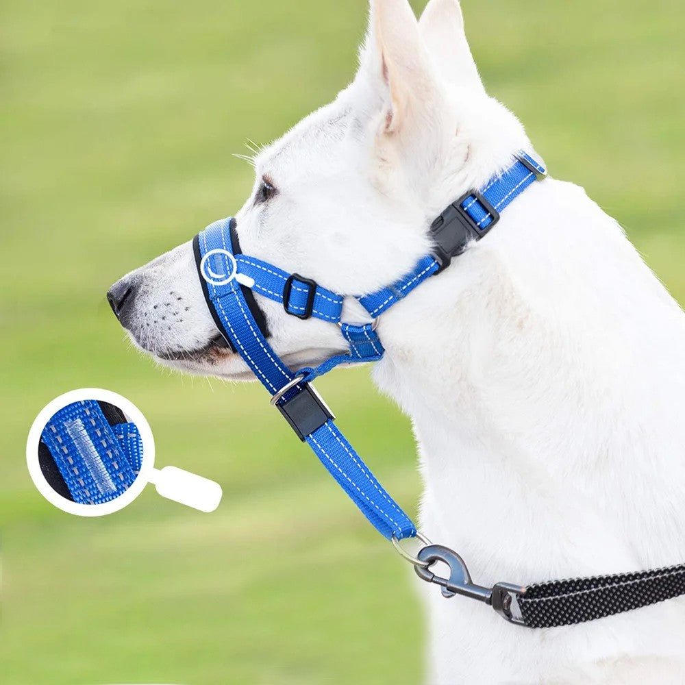 Adjustable No Pull Dog Head Collar Control Collar for Long-Snout Dogs - Blue XL