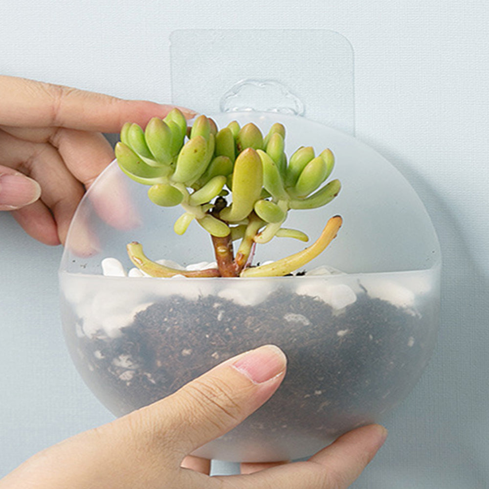 4X Transparent Wall Mounted Planters Hanging Plant Pot Grow Vase Tank Home Decor
