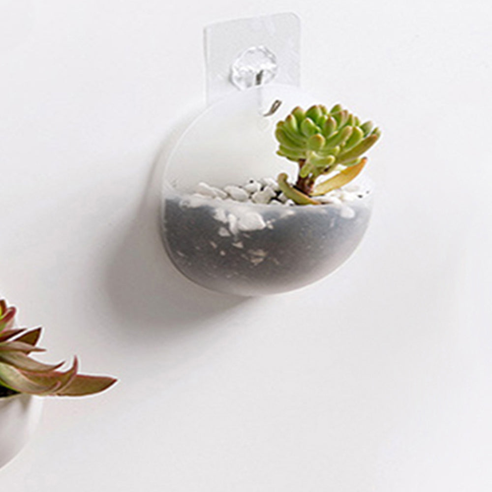 4X Transparent Wall Mounted Planters Hanging Plant Pot Grow Vase Tank Home Decor
