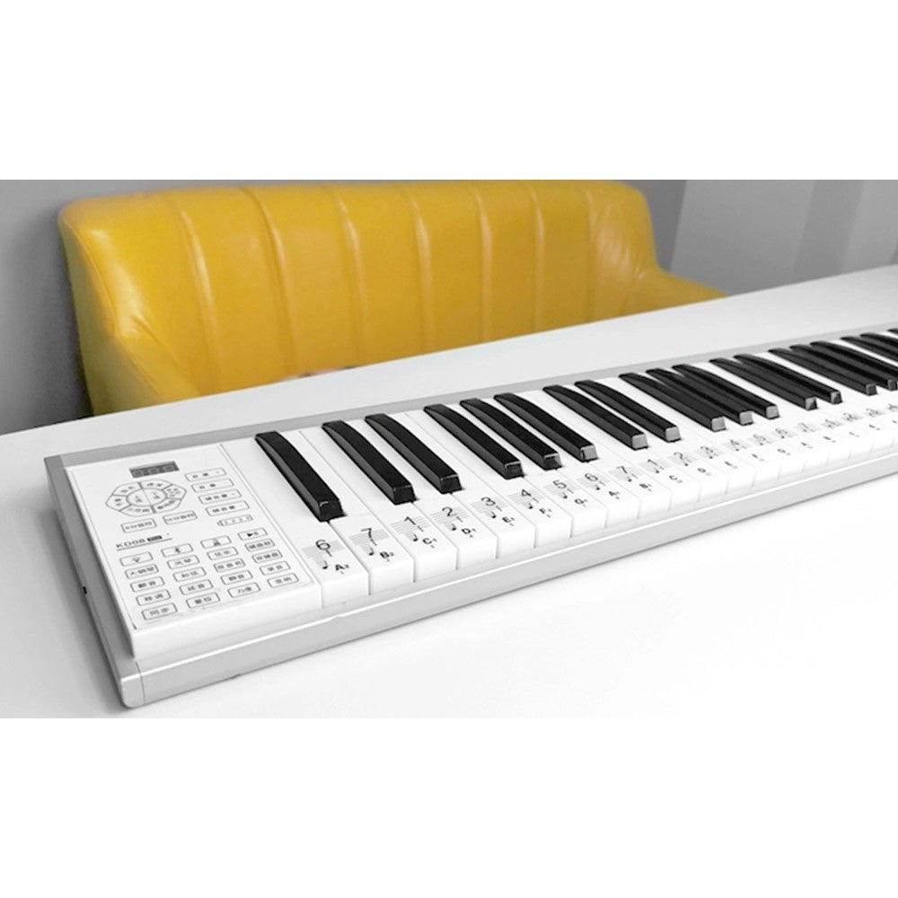 2 X Piano Practice Keyboard Note Chart Stickers Sets for White Keys 61 88 KEY