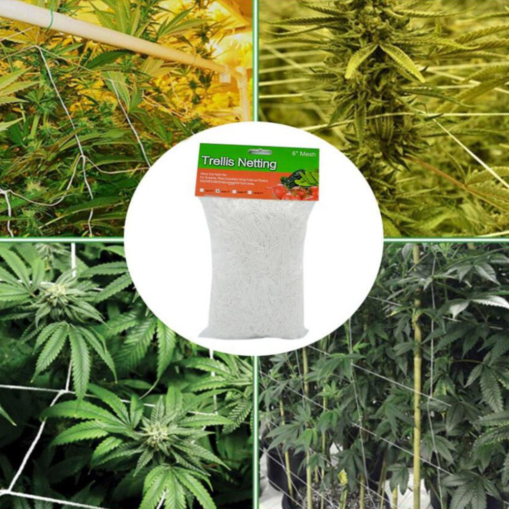 1.67X10M Garden Polyester Plant Trellis Netting-M