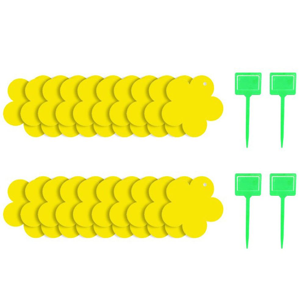 20 X Dual Sided Sticky Trap Fruit Fly Trap with 4pcs Holders Flower Shape Insect Killer