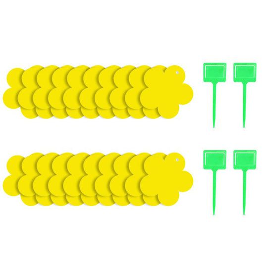 20 X Dual Sided Sticky Trap Fruit Fly Trap with 4pcs Holders Flower Shape Insect Killer