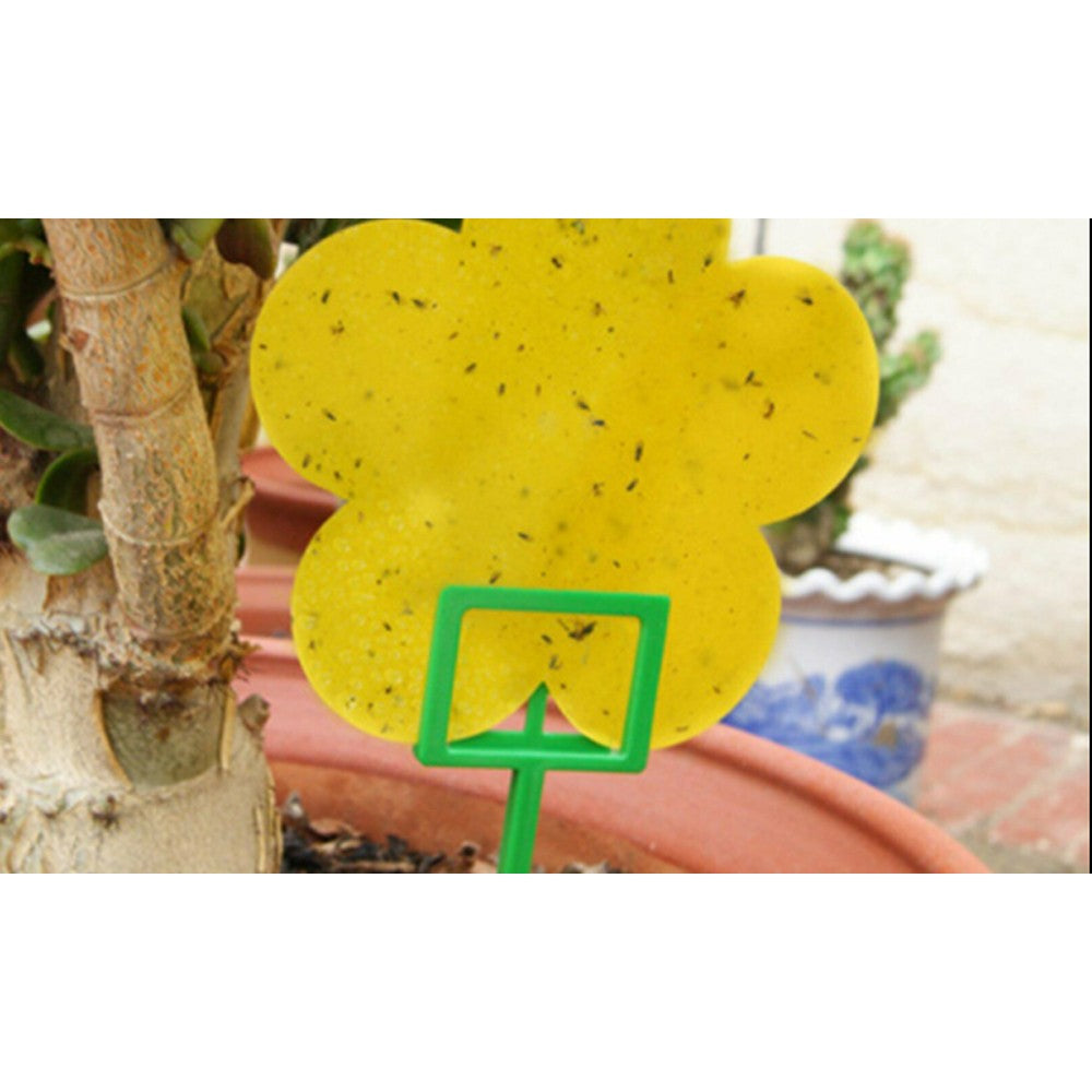 20 X Dual Sided Sticky Trap Fruit Fly Trap with 4pcs Holders Flower Shape Insect Killer