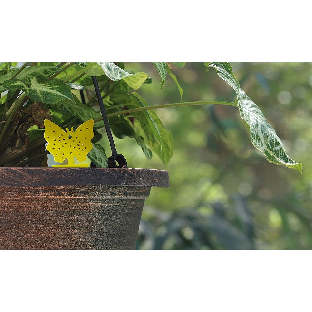 10Pcs Butterfly Shape Sticky Trap Insect Killer with 2pcs Holder