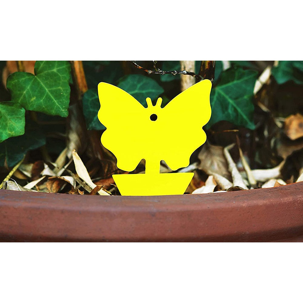 10Pcs Butterfly Shape Sticky Trap Insect Killer with 2pcs Holder