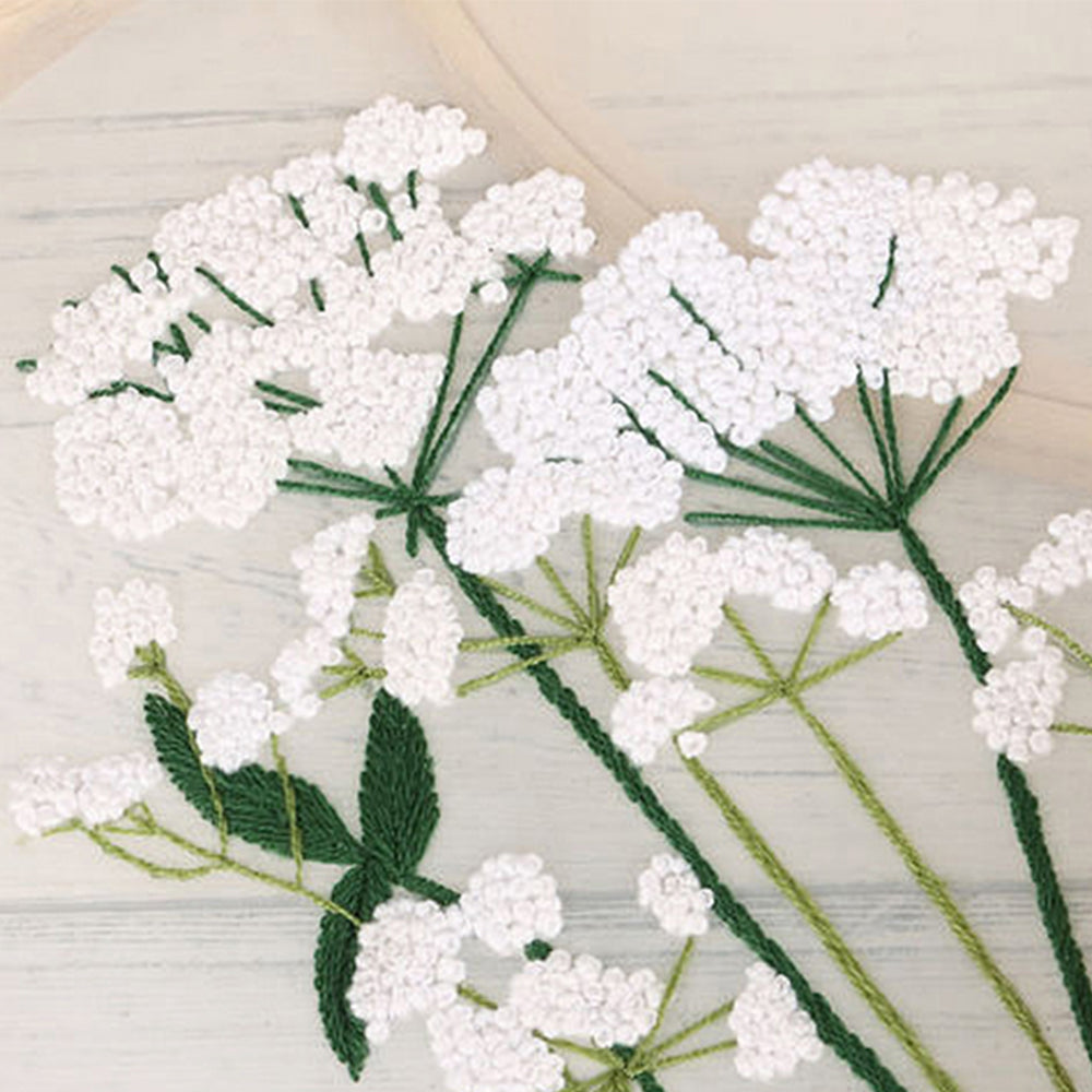 2X Style 2+3 DIY Plants Pattern Transparent Embroidery Kit Beginner Craft Set