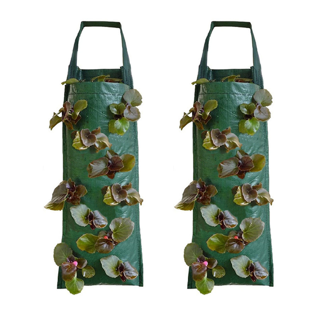 2X PE Hanging Strawberry Bags with 10 Holes