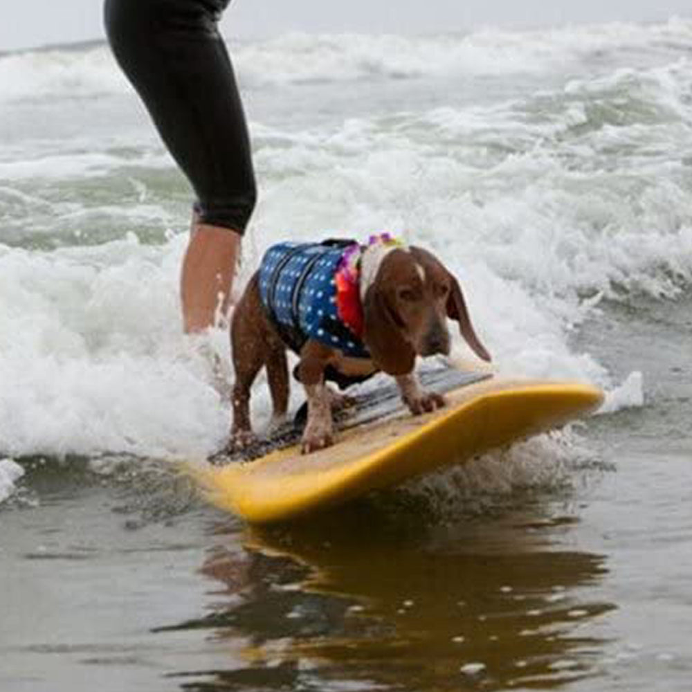 Printed Dog Life Jacket Dark Blue S
